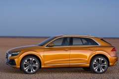Audi Q8 2018 photo image 8