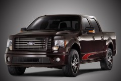 Ford F150 2009 photo image 2