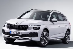 Skoda Kamiq 2023 photo image 1