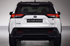 Toyota RAV4 2021 foto attēls 6