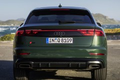 Audi Q8 2023 foto 6