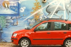 Fiat Panda hatchback photo image 7