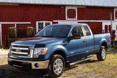 Ford F150 2009 photo image 3