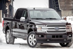 Ford F150 2017 photo image 3