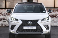 Lexus NX 2017 photo image 5