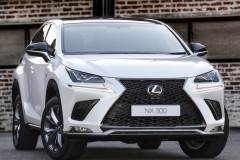 Lexus NX 2017 photo image 6