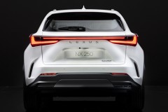 Lexus NX 2021 photo image 6