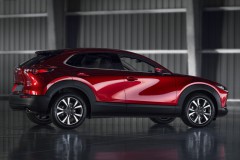 Mazda CX-30 2019 photo image 5