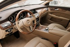 Mercedes CLS 2012 X218 universāla foto attēls 11