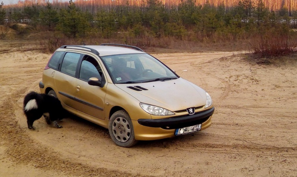  Peugeot familiar coche / familiar (