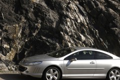 Silver Peugeot 407 2005 coupe side