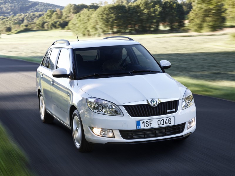 Skoda Fabia 2010 photo image