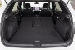 Volkswagen Golf 2024 8 hatchback foto 8
